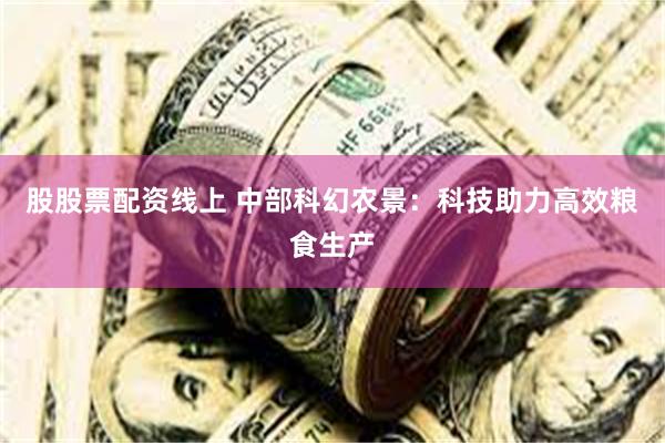 股股票配资线上 中部科幻农景:科技助力高效粮食生产