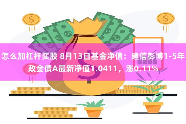 怎么加杠杆买股 8月13日基金净值:建信彭博1-5年政金债A最新净值1.0411,涨0.11%