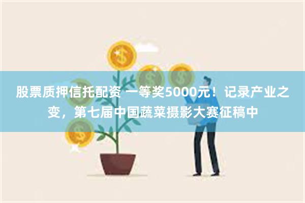 股票质押信托配资 一等奖5000元!记录产业之变,第七届中国蔬菜摄影大赛征稿中