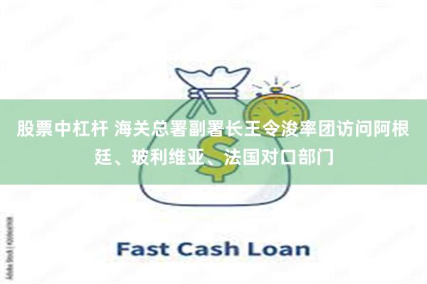 股票中杠杆 海关总署副署长王令浚率团访问阿根廷、玻利维亚、法国对口部门