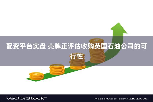 配资平台实盘 壳牌正评估收购英国石油公司的可行性