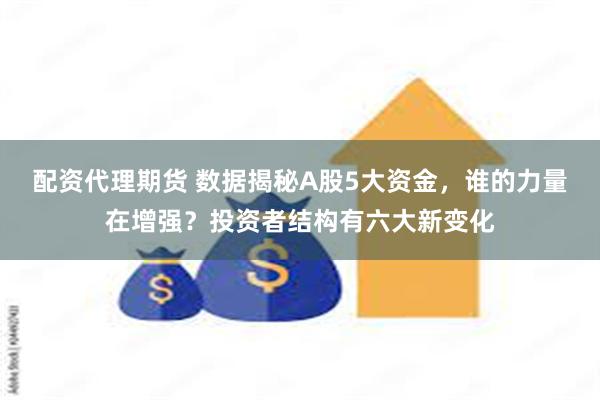 配资代理期货 数据揭秘A股5大资金,谁的力量在增强?投资者结构有六大新变化