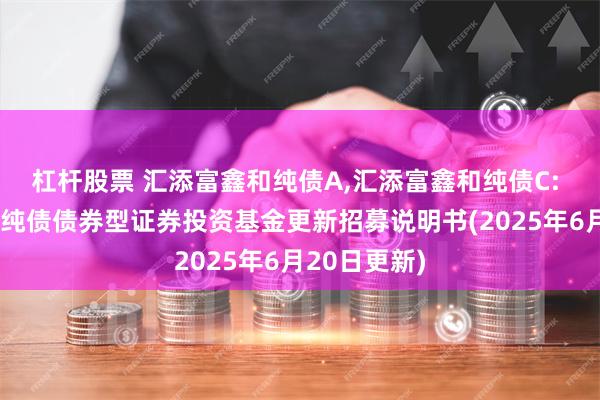 杠杆股票 汇添富鑫和纯债A,汇添富鑫和纯债C: 汇添富鑫和纯债债券型证券投资基金更新招募说明书(2025年6月20日更新)