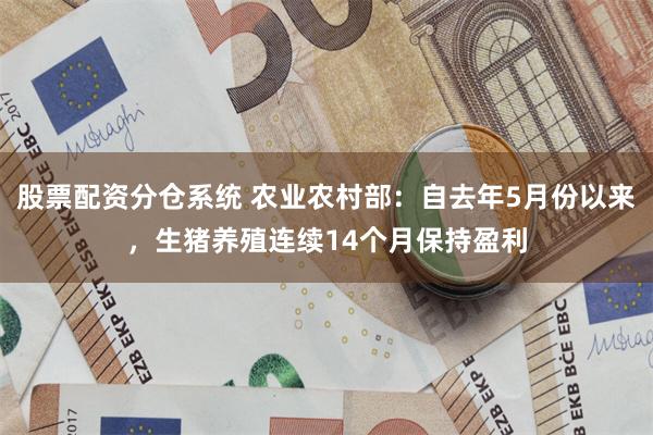 股票配资分仓系统 农业农村部:自去年5月份以来,生猪养殖连续14个月保持盈利